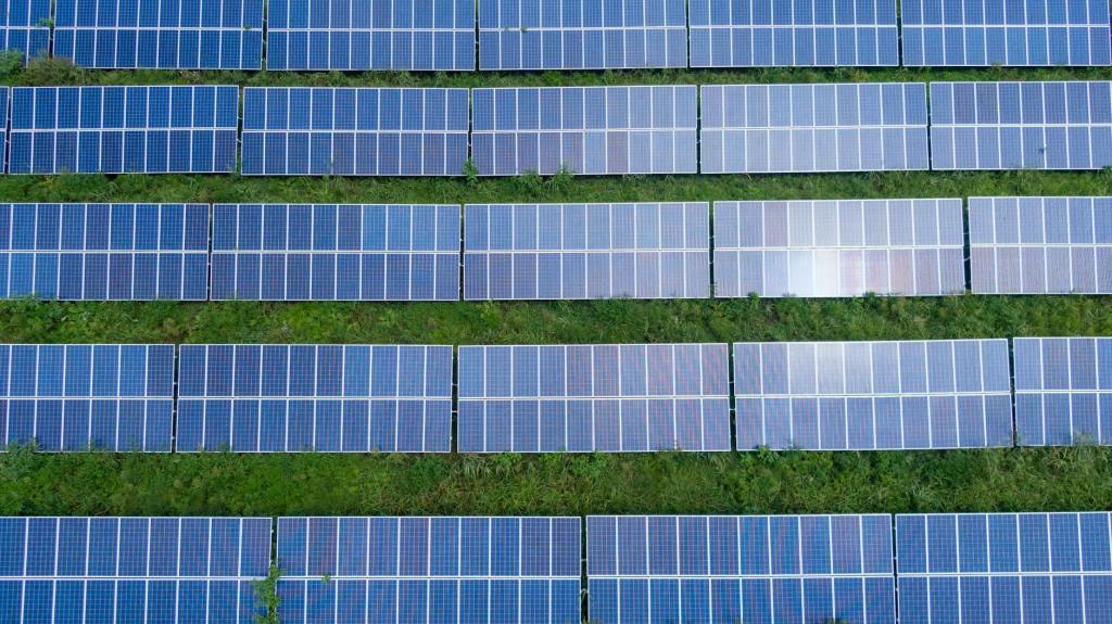 Are You Considering Solar Panels for Your UK Home? Here’s Everything You Need to Know